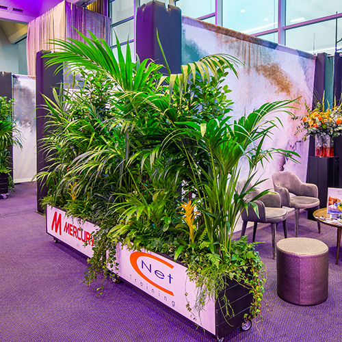 Expo Green Dividers